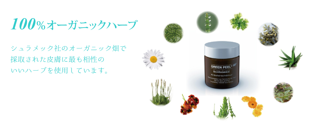 グリーンピールはシュラメック社のオーガニック畑で採取された皮膚に最も相性のいいハーブを使用します
